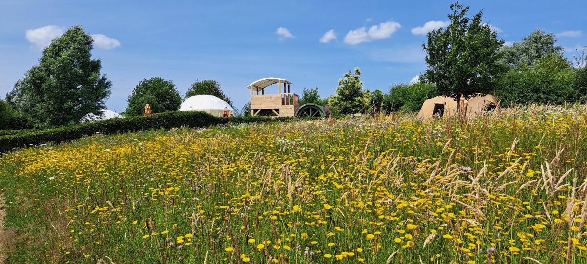 Ecochique Hotel Westouter Kültér fotó